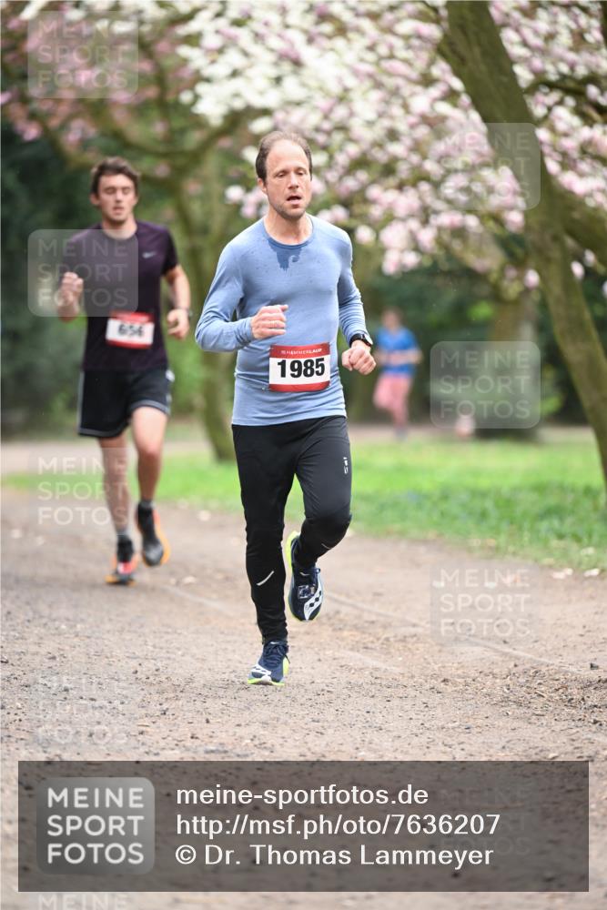 13.04.2025 - Hammer Lauf Dr. Thomas Lammeyer http://msf.ph/oto/7636207 13.04.2025 10:05:37 Laufen 656, 15, 1985 meine-sportfotos.de