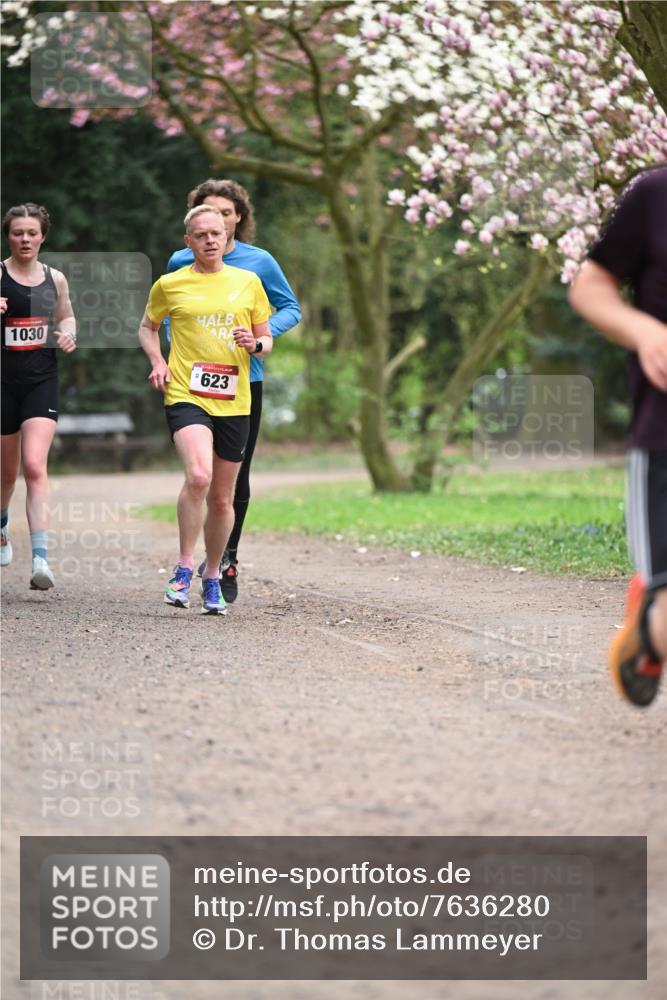 13.04.2025 - Hammer Lauf Dr. Thomas Lammeyer http://msf.ph/oto/7636280 13.04.2025 10:05:39 Laufen 1030, 623 meine-sportfotos.de