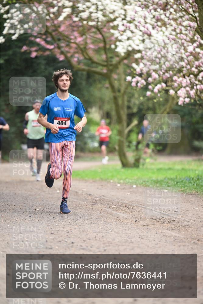 13.04.2025 - Hammer Lauf Dr. Thomas Lammeyer http://msf.ph/oto/7636441 13.04.2025 10:05:49 Laufen 404 meine-sportfotos.de
