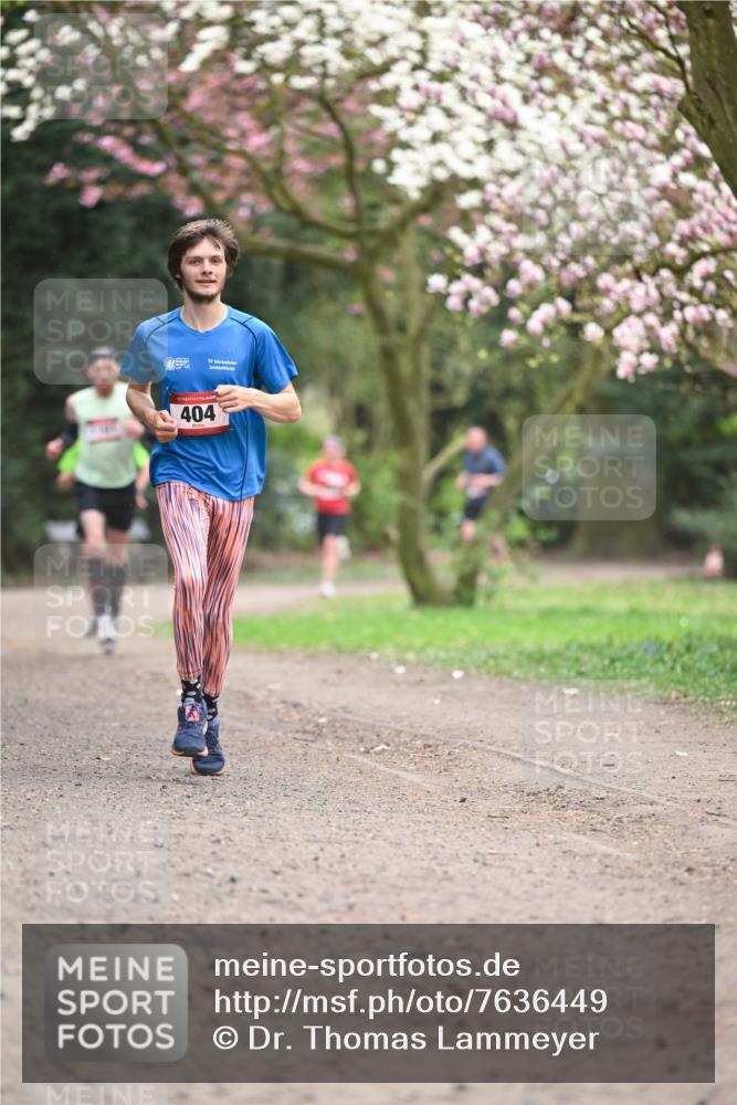 13.04.2025 - Hammer Lauf Dr. Thomas Lammeyer http://msf.ph/oto/7636449 13.04.2025 10:05:49 Laufen 404 meine-sportfotos.de