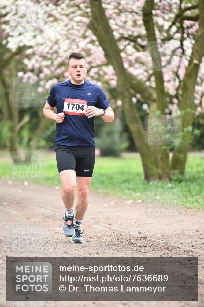 13.04.2025 - Hammer Lauf Dr. Thomas Lammeyer http://msf.ph/oto/7636689 13.04.2025 10:05:56 Laufen 15, 1704 meine-sportfotos.de