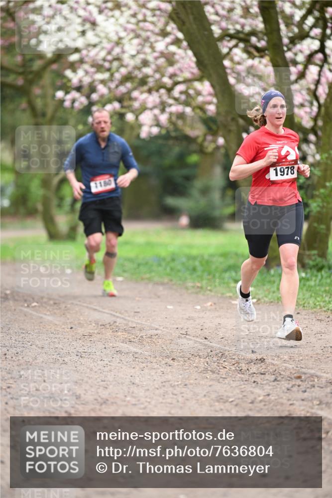 13.04.2025 - Hammer Lauf Dr. Thomas Lammeyer http://msf.ph/oto/7636804 13.04.2025 10:06:00 Laufen 1180, 1978 meine-sportfotos.de