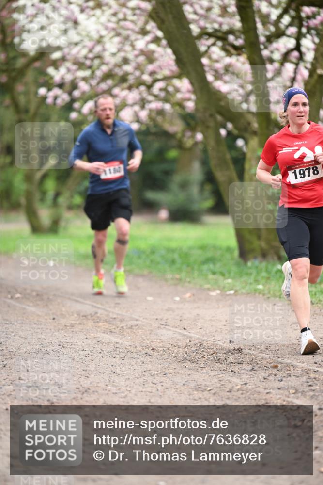13.04.2025 - Hammer Lauf Dr. Thomas Lammeyer http://msf.ph/oto/7636828 13.04.2025 10:06:01 Laufen 1840, 15, 1978 meine-sportfotos.de
