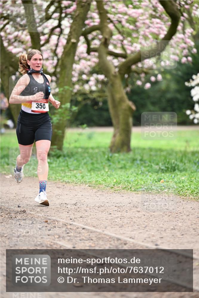 13.04.2025 - Hammer Lauf Dr. Thomas Lammeyer http://msf.ph/oto/7637012 13.04.2025 10:06:08 Laufen 350 meine-sportfotos.de