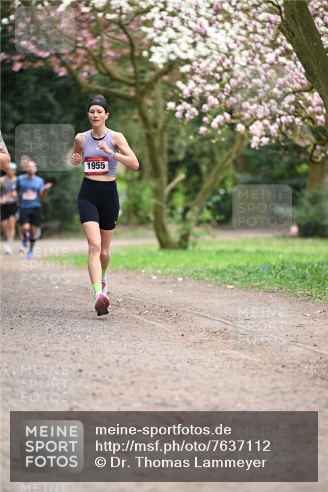 13.04.2025 - Hammer Lauf Dr. Thomas Lammeyer http://msf.ph/oto/7637112 13.04.2025 10:06:21 Laufen 1955 meine-sportfotos.de