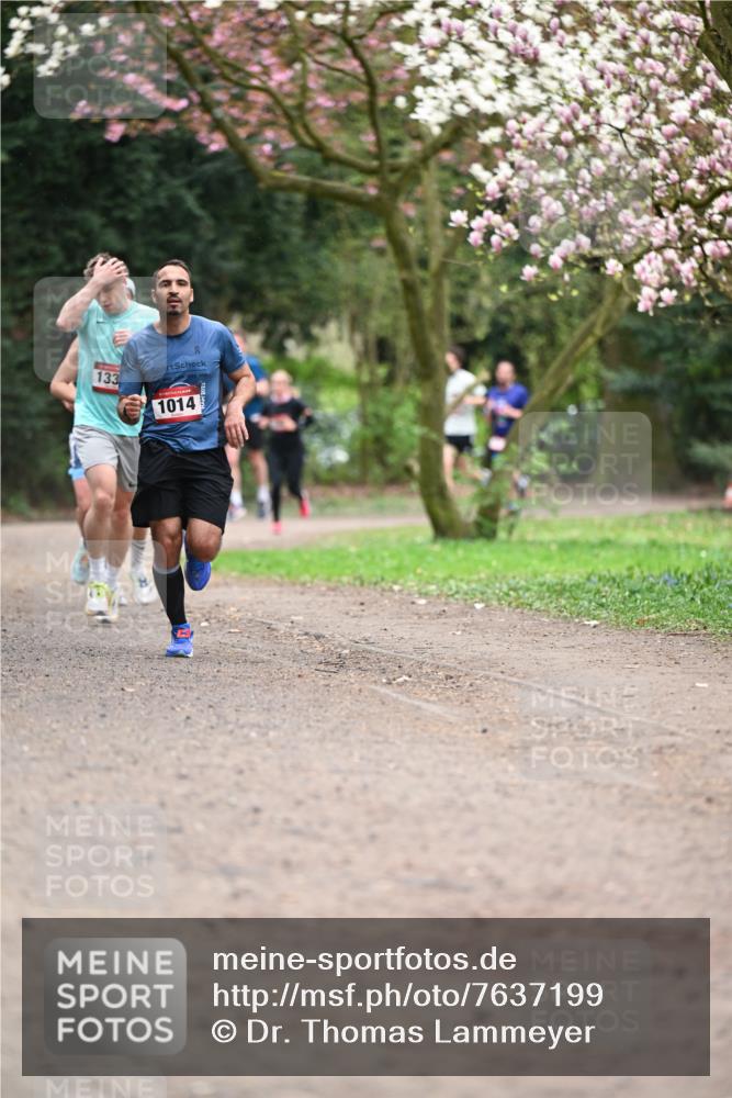 13.04.2025 - Hammer Lauf Dr. Thomas Lammeyer http://msf.ph/oto/7637199 13.04.2025 10:06:27 Laufen 133, 1014 meine-sportfotos.de