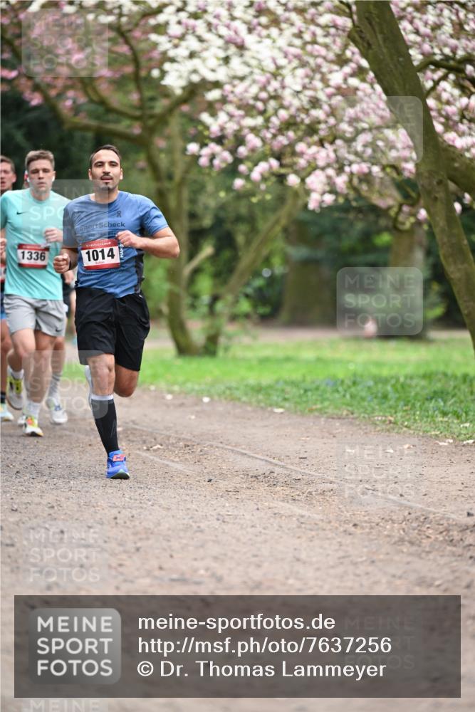 13.04.2025 - Hammer Lauf Dr. Thomas Lammeyer http://msf.ph/oto/7637256 13.04.2025 10:06:28 Laufen 1336, 1014 meine-sportfotos.de