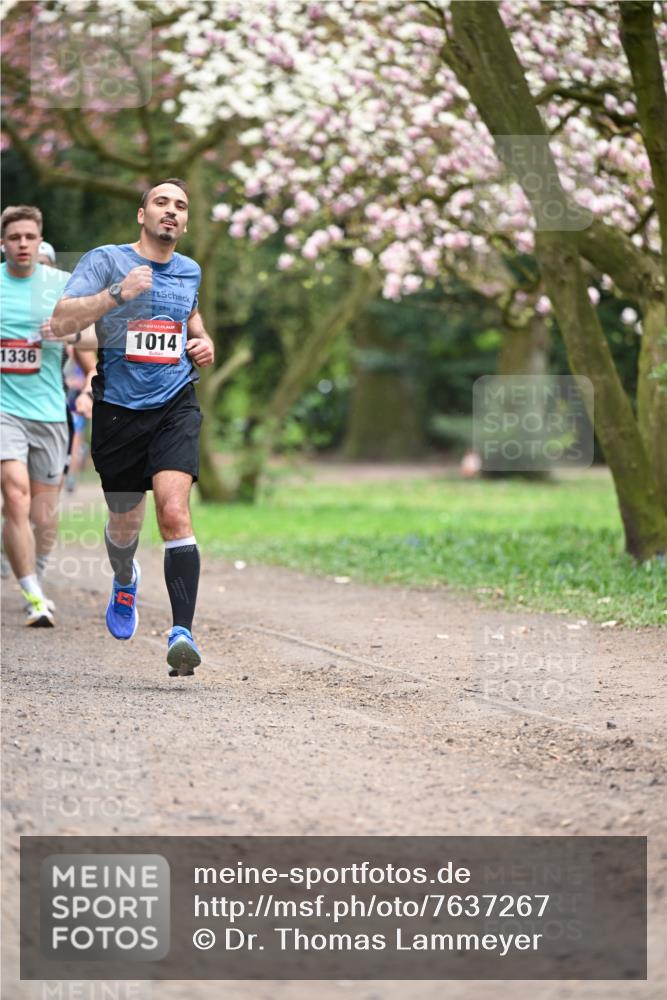 13.04.2025 - Hammer Lauf Dr. Thomas Lammeyer http://msf.ph/oto/7637267 13.04.2025 10:06:28 Laufen 1336, 15, 1014 meine-sportfotos.de