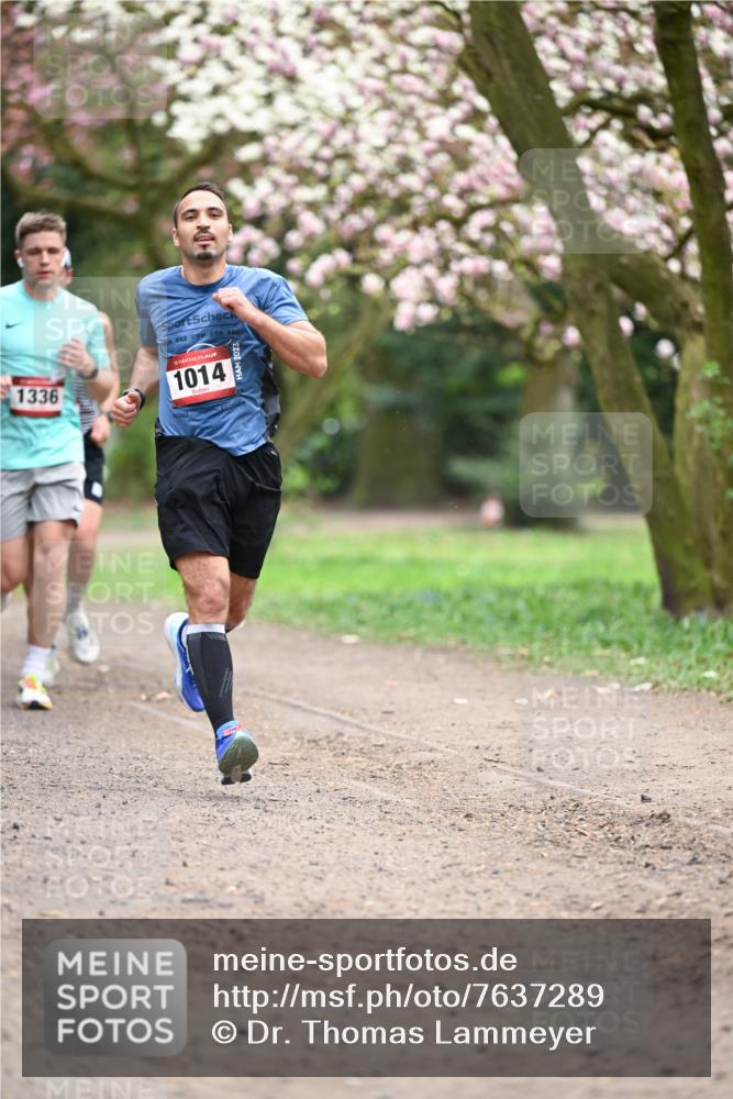 13.04.2025 - Hammer Lauf Dr. Thomas Lammeyer http://msf.ph/oto/7637289 13.04.2025 10:06:29 Laufen 1336, 15, 1014 meine-sportfotos.de
