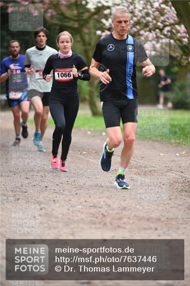 13.04.2025 - Hammer Lauf Dr. Thomas Lammeyer http://msf.ph/oto/7637446 13.04.2025 10:06:38 Laufen 20, 15, 1066 meine-sportfotos.de