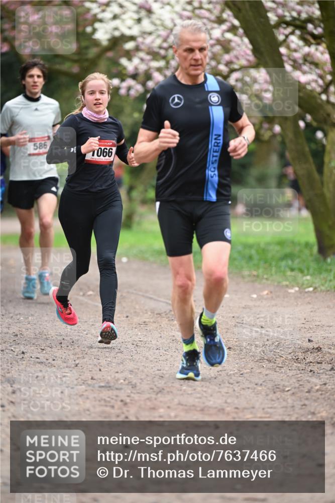 13.04.2025 - Hammer Lauf Dr. Thomas Lammeyer http://msf.ph/oto/7637466 13.04.2025 10:06:38 Laufen 586, 066 meine-sportfotos.de