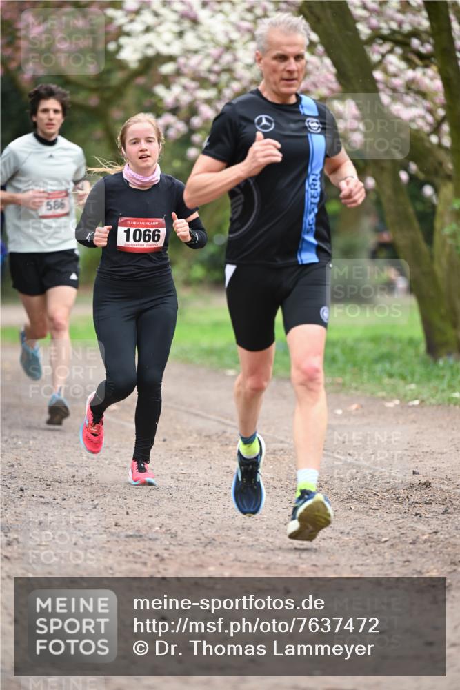13.04.2025 - Hammer Lauf Dr. Thomas Lammeyer http://msf.ph/oto/7637472 13.04.2025 10:06:38 Laufen 586, 15, 1066 meine-sportfotos.de
