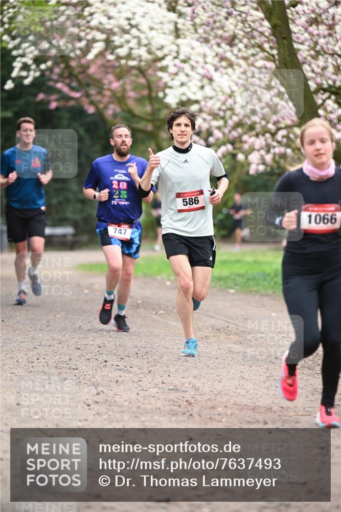 13.04.2025 - Hammer Lauf Dr. Thomas Lammeyer http://msf.ph/oto/7637493 13.04.2025 10:06:39 Laufen 20, 25, 717840, 15, 586, 747, 1066 meine-sportfotos.de