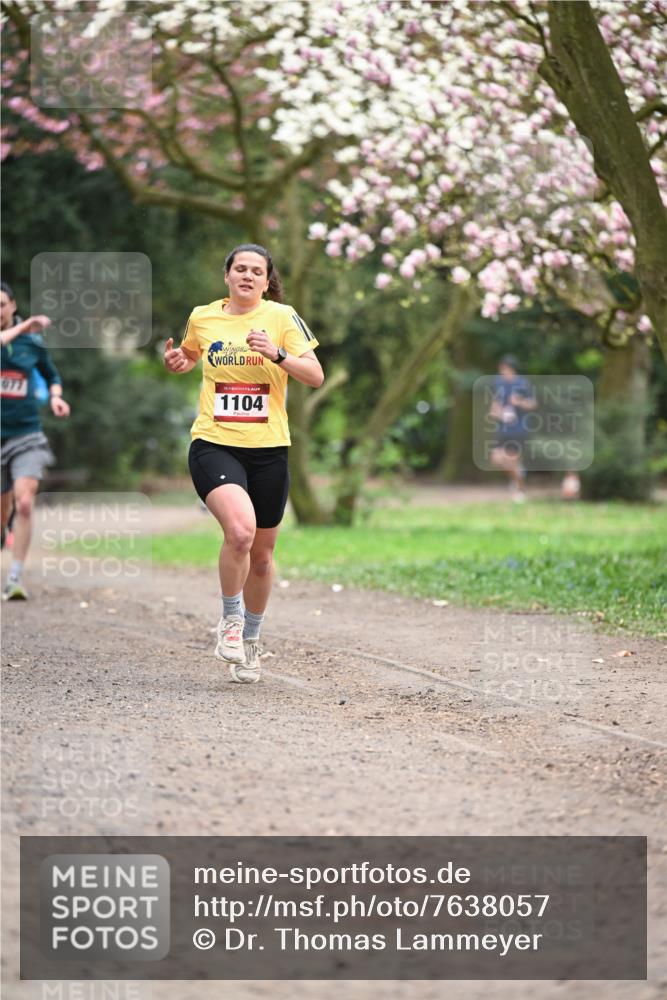 13.04.2025 - Hammer Lauf Dr. Thomas Lammeyer http://msf.ph/oto/7638057 13.04.2025 10:07:07 Laufen 077, 1104 meine-sportfotos.de