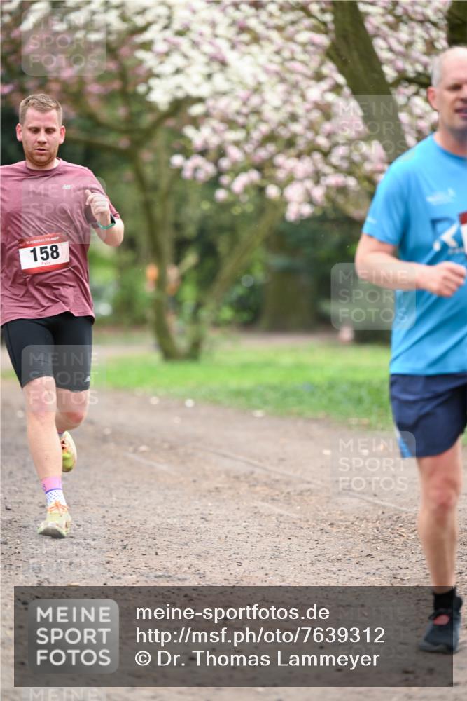 13.04.2025 - Hammer Lauf Dr. Thomas Lammeyer http://msf.ph/oto/7639312 13.04.2025 10:08:13 Laufen 15, 158 meine-sportfotos.de