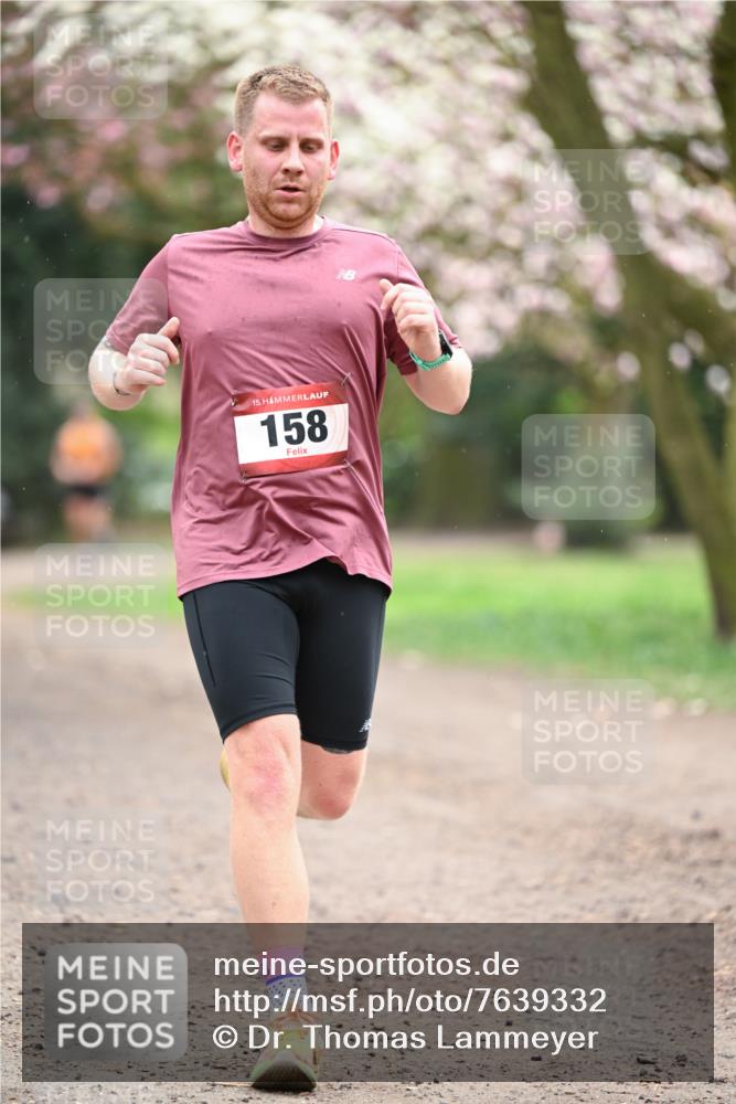 13.04.2025 - Hammer Lauf Dr. Thomas Lammeyer http://msf.ph/oto/7639332 13.04.2025 10:08:14 Laufen 15, 158 meine-sportfotos.de
