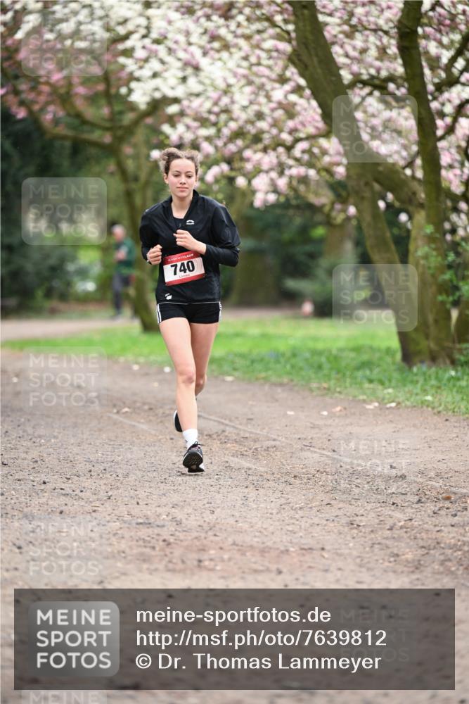 13.04.2025 - Hammer Lauf Dr. Thomas Lammeyer http://msf.ph/oto/7639812 13.04.2025 10:08:53 Laufen 15, 740 meine-sportfotos.de