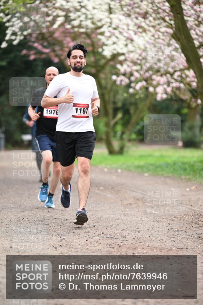 13.04.2025 - Hammer Lauf Dr. Thomas Lammeyer http://msf.ph/oto/7639946 13.04.2025 10:09:01 Laufen 1976, 15, 1197 meine-sportfotos.de