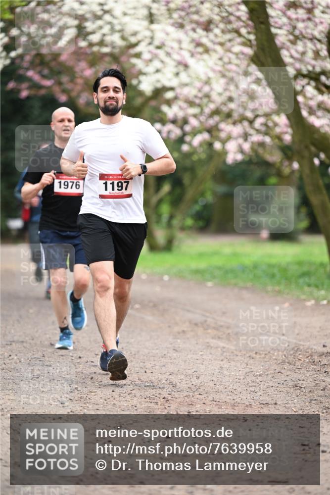 13.04.2025 - Hammer Lauf Dr. Thomas Lammeyer http://msf.ph/oto/7639958 13.04.2025 10:09:01 Laufen 1976, 15, 1197 meine-sportfotos.de