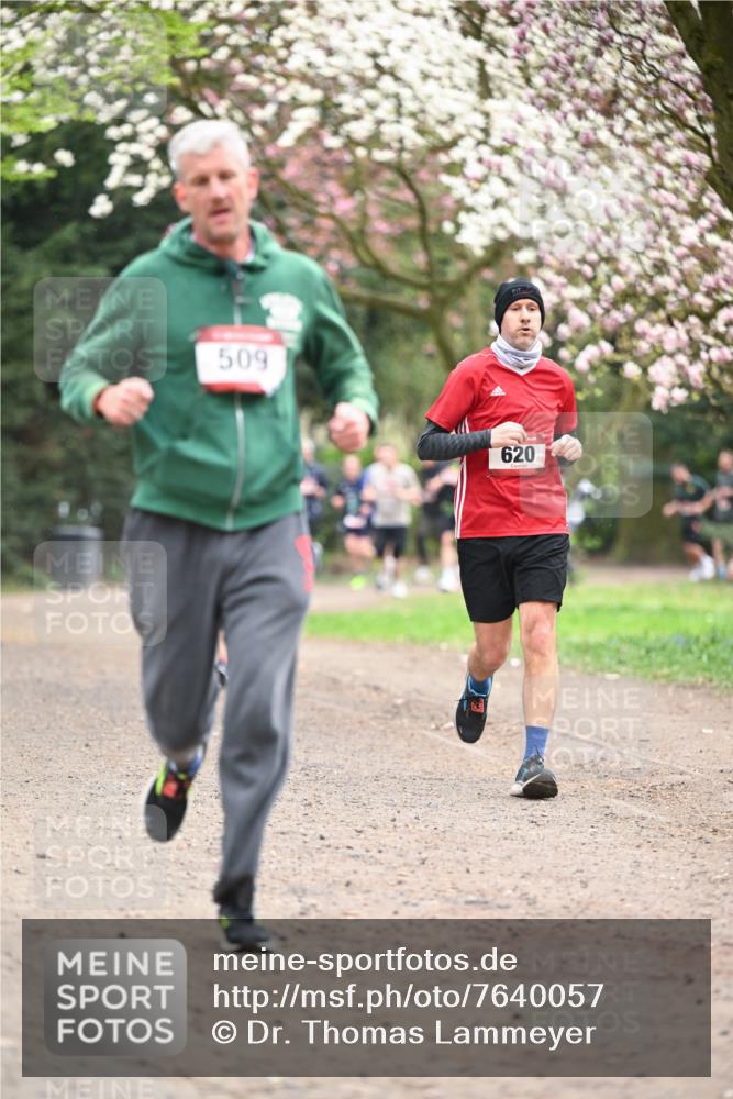 13.04.2025 - Hammer Lauf Dr. Thomas Lammeyer http://msf.ph/oto/7640057 13.04.2025 10:09:10 Laufen 509, 620 meine-sportfotos.de