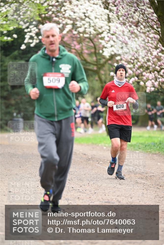 13.04.2025 - Hammer Lauf Dr. Thomas Lammeyer http://msf.ph/oto/7640063 13.04.2025 10:09:10 Laufen 509, 620 meine-sportfotos.de