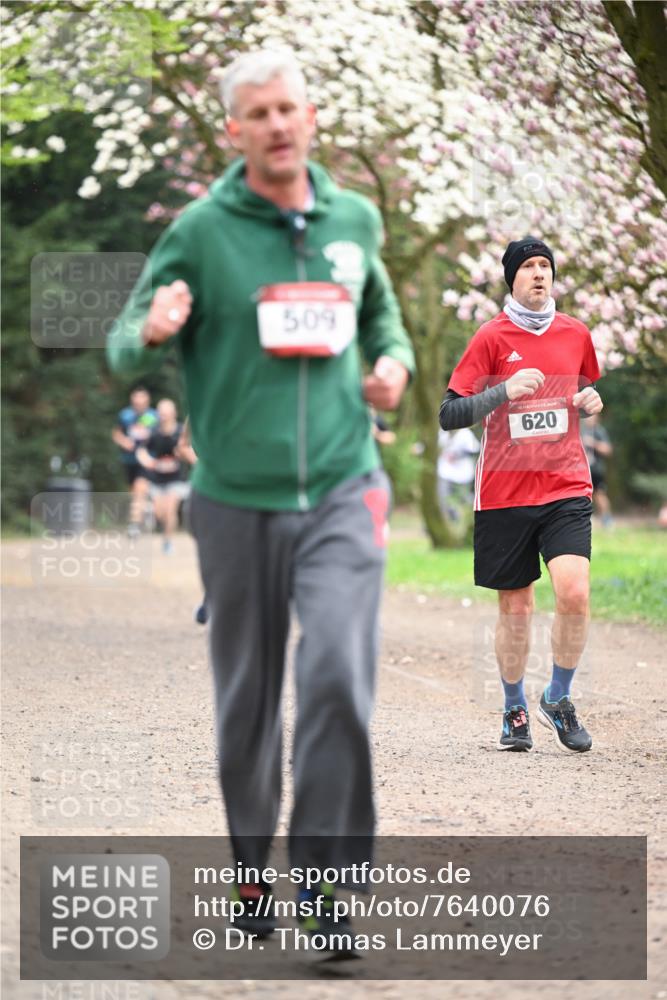 13.04.2025 - Hammer Lauf Dr. Thomas Lammeyer http://msf.ph/oto/7640076 13.04.2025 10:09:10 Laufen 509, 15, 620 meine-sportfotos.de