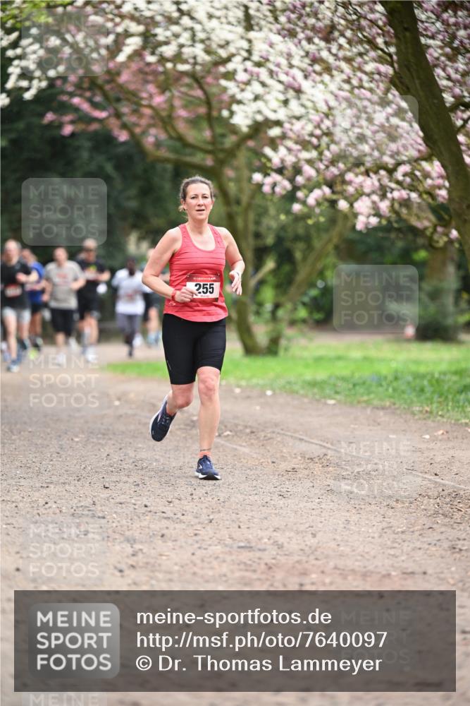 13.04.2025 - Hammer Lauf Dr. Thomas Lammeyer http://msf.ph/oto/7640097 13.04.2025 10:09:13 Laufen 15, 255 meine-sportfotos.de