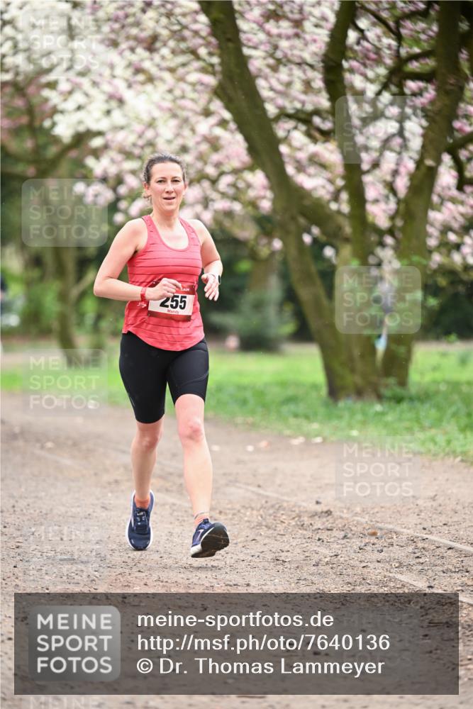 13.04.2025 - Hammer Lauf Dr. Thomas Lammeyer http://msf.ph/oto/7640136 13.04.2025 10:09:14 Laufen 255 meine-sportfotos.de