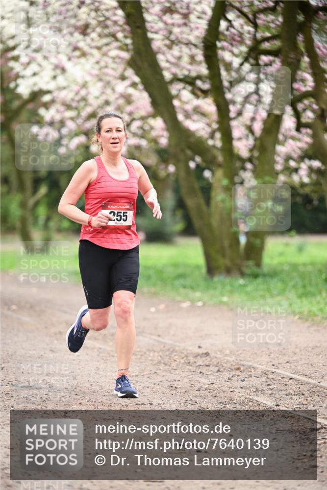 13.04.2025 - Hammer Lauf Dr. Thomas Lammeyer http://msf.ph/oto/7640139 13.04.2025 10:09:14 Laufen 15, 255 meine-sportfotos.de