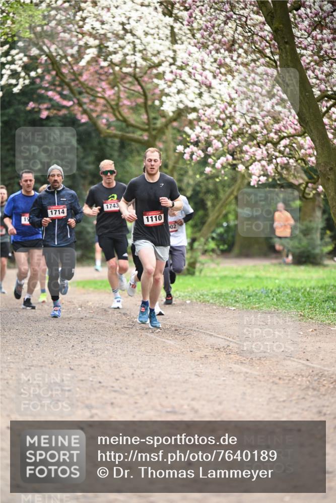 13.04.2025 - Hammer Lauf Dr. Thomas Lammeyer http://msf.ph/oto/7640189 13.04.2025 10:09:19 Laufen 1714, 1743, 19, 1110, 02 meine-sportfotos.de