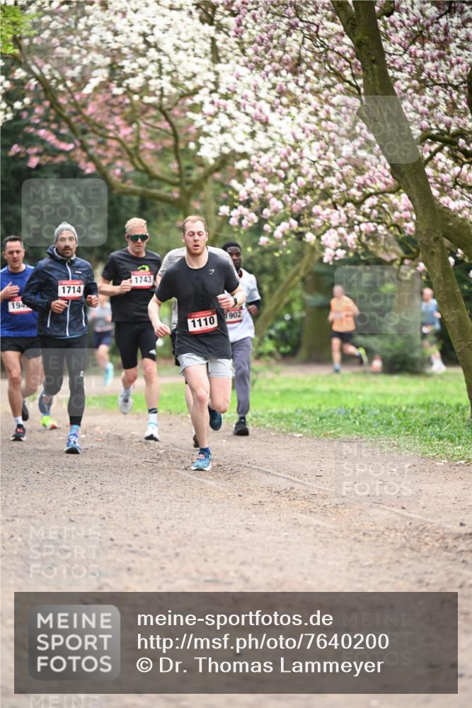 13.04.2025 - Hammer Lauf Dr. Thomas Lammeyer http://msf.ph/oto/7640200 13.04.2025 10:09:20 Laufen 194, 1714, 1743, 1110, 1902 meine-sportfotos.de