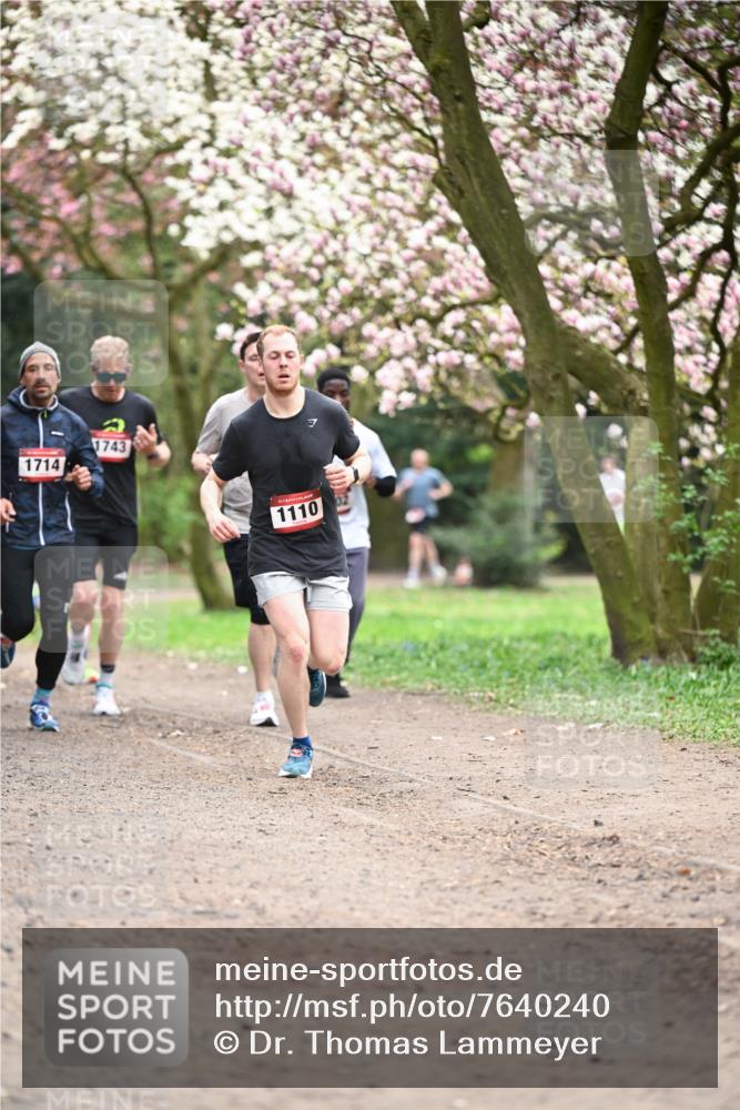 13.04.2025 - Hammer Lauf Dr. Thomas Lammeyer http://msf.ph/oto/7640240 13.04.2025 10:09:20 Laufen 1714, 1743, 1110 meine-sportfotos.de