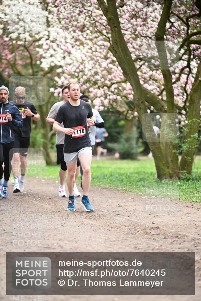 13.04.2025 - Hammer Lauf Dr. Thomas Lammeyer http://msf.ph/oto/7640245 13.04.2025 10:09:21 Laufen 714, 110 meine-sportfotos.de
