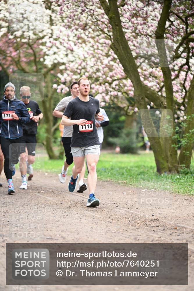 13.04.2025 - Hammer Lauf Dr. Thomas Lammeyer http://msf.ph/oto/7640251 13.04.2025 10:09:21 Laufen 1714, 1110, 7 meine-sportfotos.de