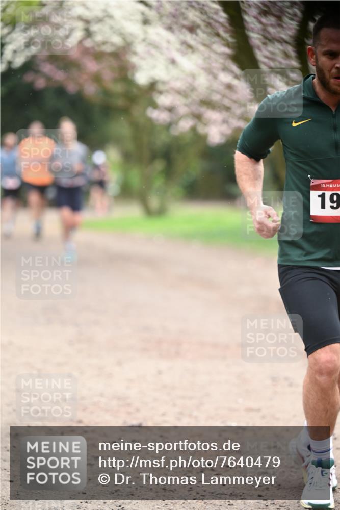 13.04.2025 - Hammer Lauf Dr. Thomas Lammeyer http://msf.ph/oto/7640479 13.04.2025 10:09:30 Laufen 15, 19 meine-sportfotos.de