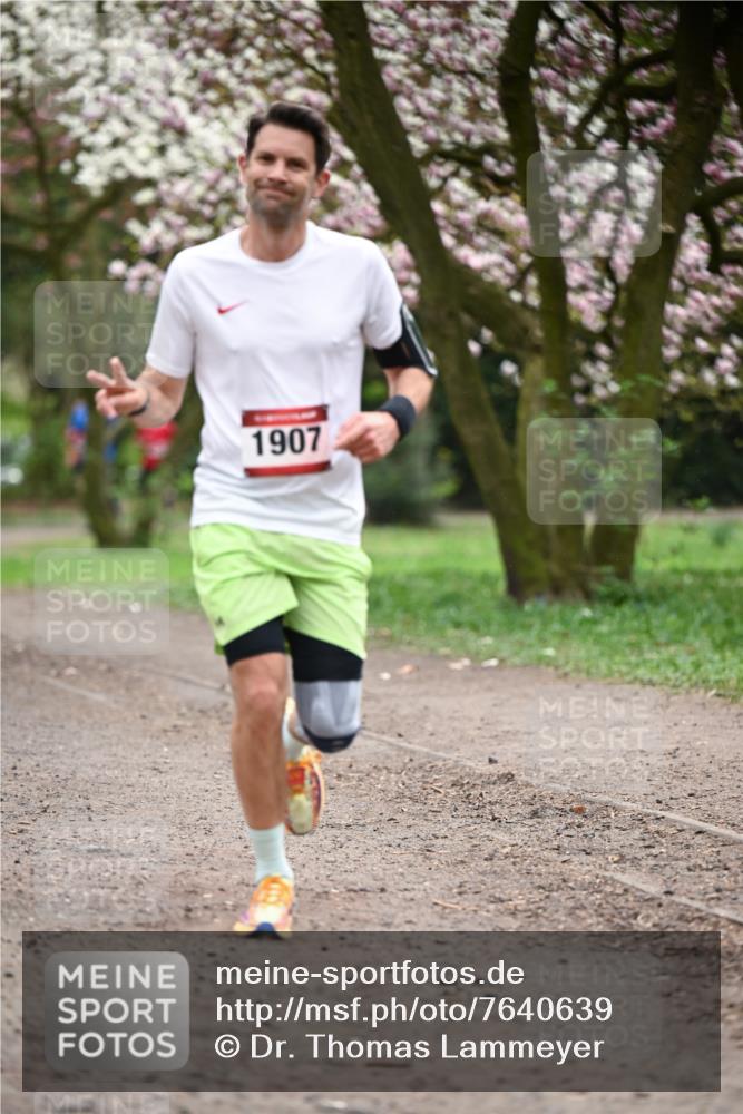 13.04.2025 - Hammer Lauf Dr. Thomas Lammeyer http://msf.ph/oto/7640639 13.04.2025 10:09:39 Laufen 1907 meine-sportfotos.de