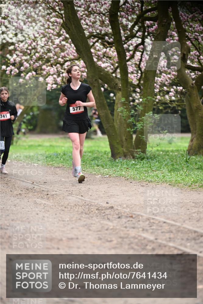 13.04.2025 - Hammer Lauf Dr. Thomas Lammeyer http://msf.ph/oto/7641434 13.04.2025 10:10:21 Laufen 741, 577 meine-sportfotos.de