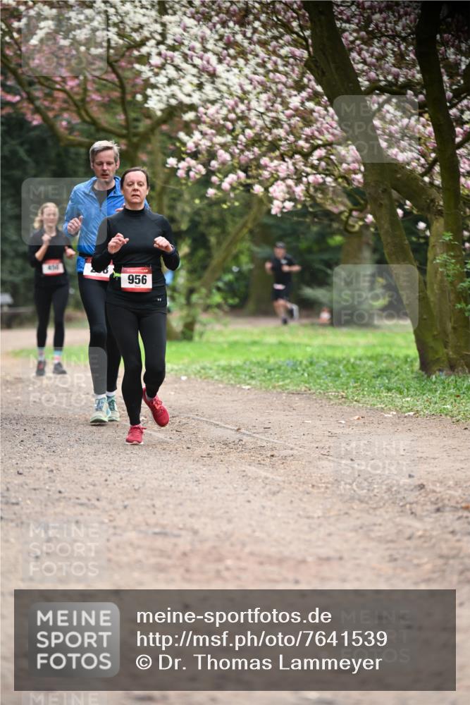 13.04.2025 - Hammer Lauf Dr. Thomas Lammeyer http://msf.ph/oto/7641539 13.04.2025 10:10:28 Laufen 454, 956 meine-sportfotos.de