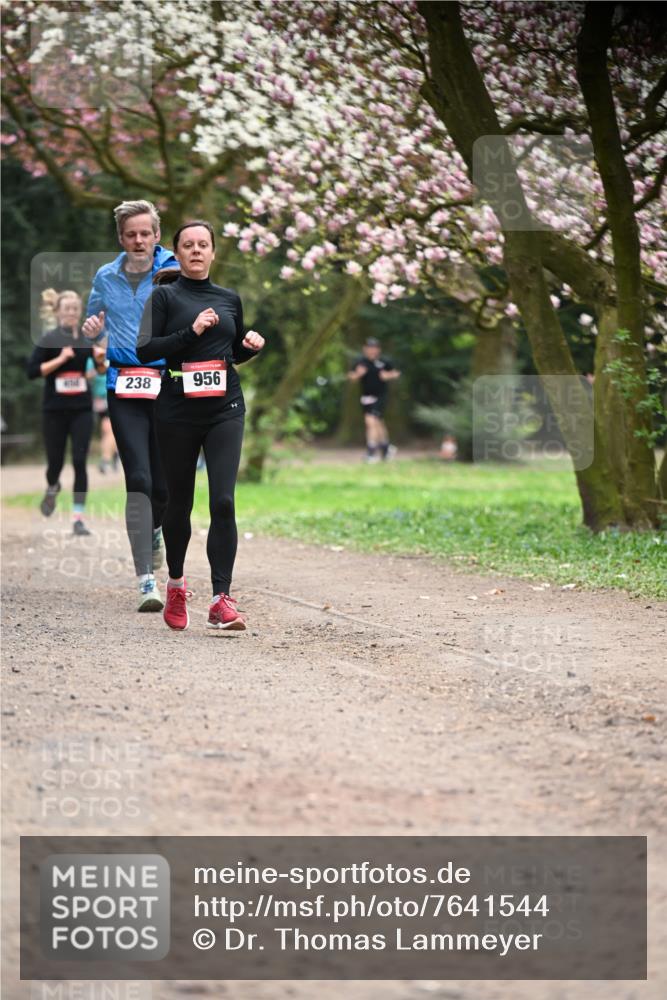 13.04.2025 - Hammer Lauf Dr. Thomas Lammeyer http://msf.ph/oto/7641544 13.04.2025 10:10:28 Laufen 238, 956 meine-sportfotos.de