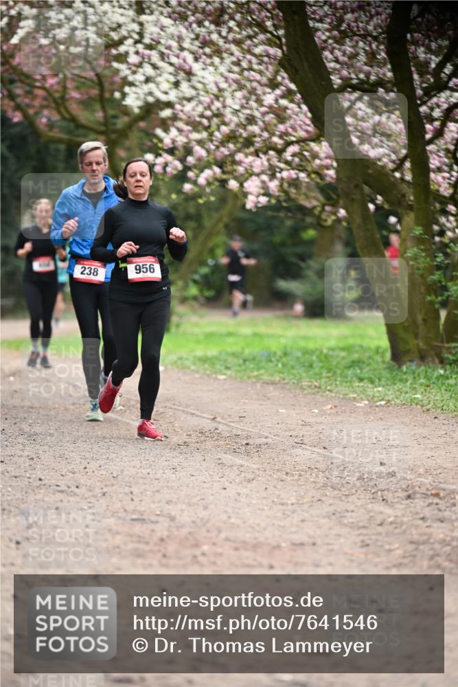 13.04.2025 - Hammer Lauf Dr. Thomas Lammeyer http://msf.ph/oto/7641546 13.04.2025 10:10:28 Laufen 238, 956 meine-sportfotos.de