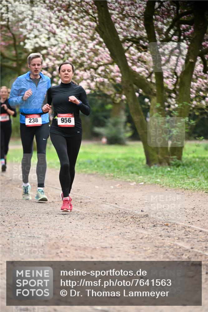 13.04.2025 - Hammer Lauf Dr. Thomas Lammeyer http://msf.ph/oto/7641563 13.04.2025 10:10:29 Laufen 238, 15, 956 meine-sportfotos.de