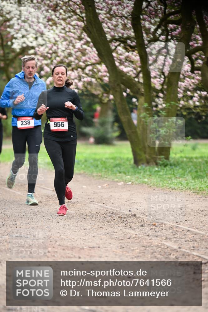 13.04.2025 - Hammer Lauf Dr. Thomas Lammeyer http://msf.ph/oto/7641566 13.04.2025 10:10:29 Laufen 238, 956 meine-sportfotos.de