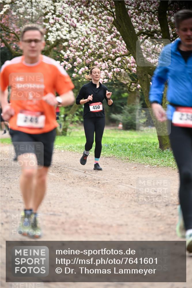 13.04.2025 - Hammer Lauf Dr. Thomas Lammeyer http://msf.ph/oto/7641601 13.04.2025 10:10:31 Laufen 245, 450 meine-sportfotos.de