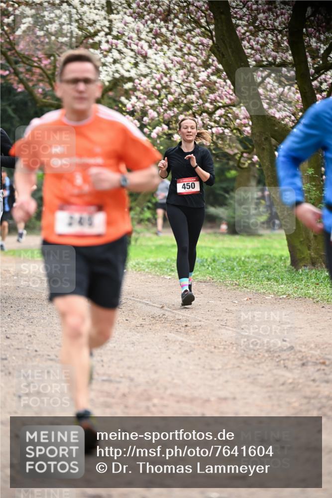 13.04.2025 - Hammer Lauf Dr. Thomas Lammeyer http://msf.ph/oto/7641604 13.04.2025 10:10:31 Laufen 245, 450 meine-sportfotos.de