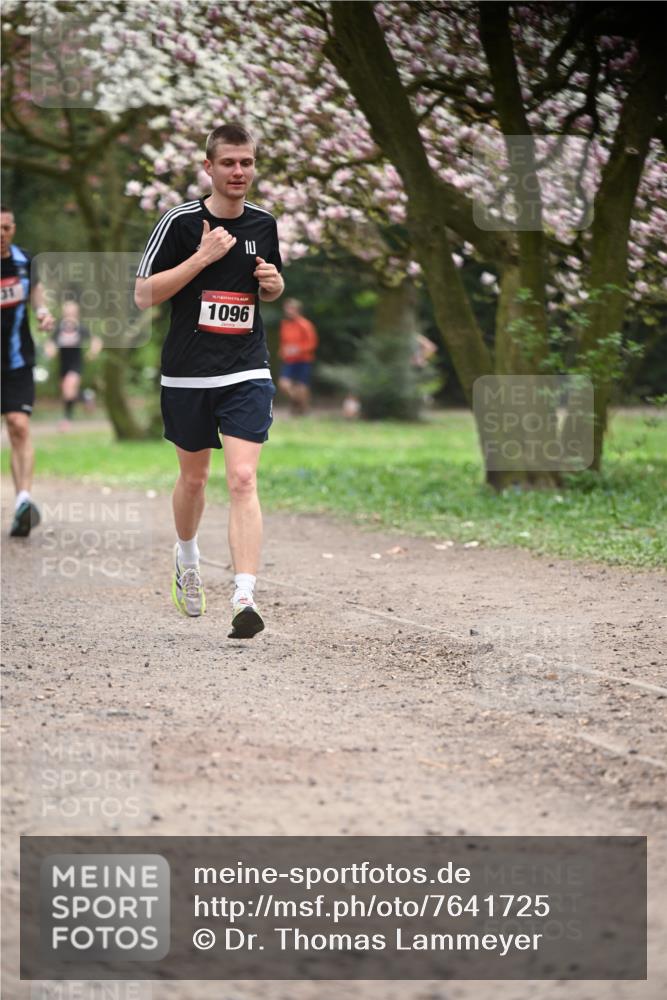 13.04.2025 - Hammer Lauf Dr. Thomas Lammeyer http://msf.ph/oto/7641725 13.04.2025 10:10:39 Laufen 31, 15, 1096 meine-sportfotos.de