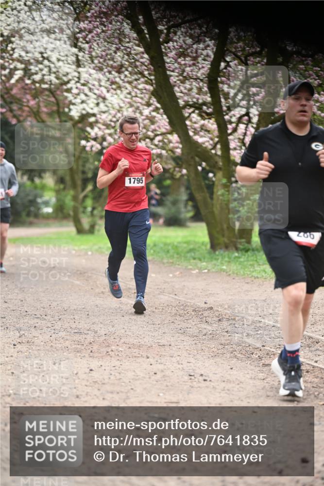 13.04.2025 - Hammer Lauf Dr. Thomas Lammeyer http://msf.ph/oto/7641835 13.04.2025 10:10:46 Laufen 1795, 206 meine-sportfotos.de