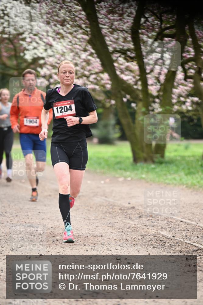 13.04.2025 - Hammer Lauf Dr. Thomas Lammeyer http://msf.ph/oto/7641929 13.04.2025 10:10:55 Laufen 1904, 15, 1204 meine-sportfotos.de