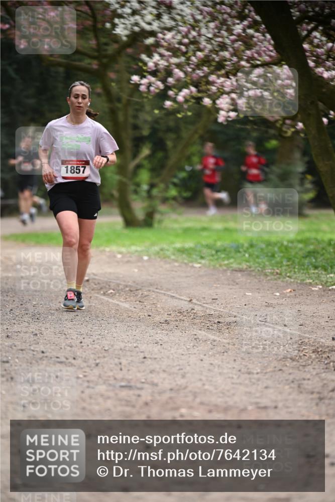 13.04.2025 - Hammer Lauf Dr. Thomas Lammeyer http://msf.ph/oto/7642134 13.04.2025 10:11:13 Laufen 1857 meine-sportfotos.de