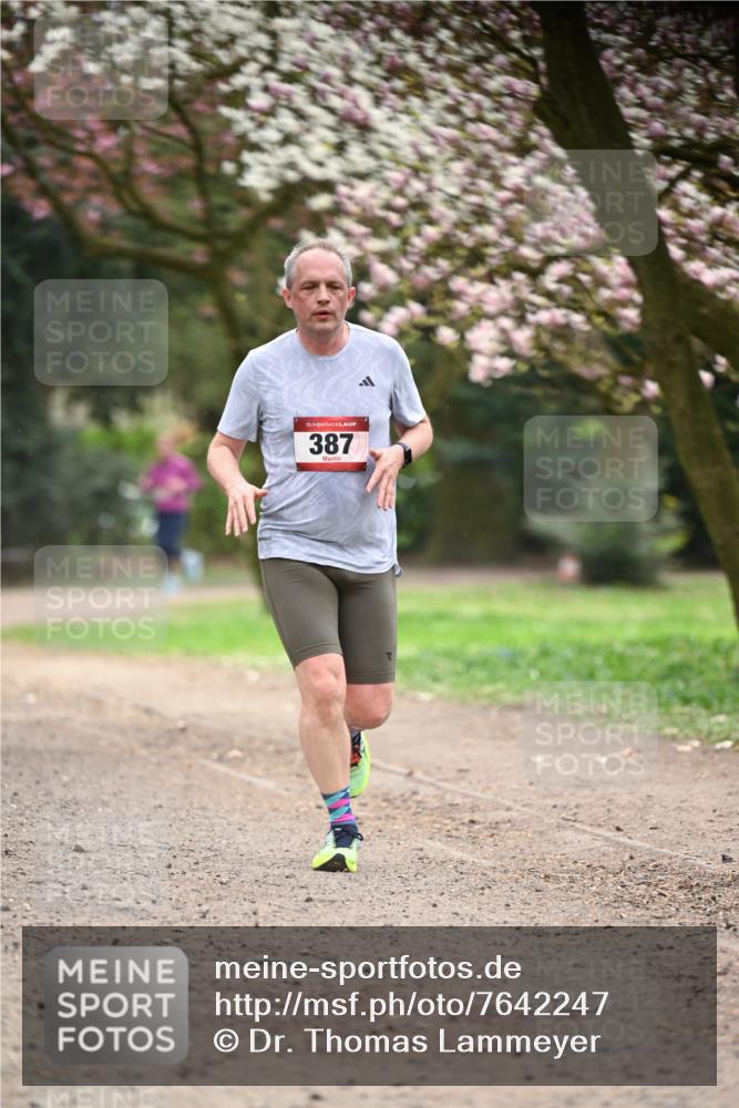 13.04.2025 - Hammer Lauf Dr. Thomas Lammeyer http://msf.ph/oto/7642247 13.04.2025 10:11:22 Laufen 15, 387 meine-sportfotos.de