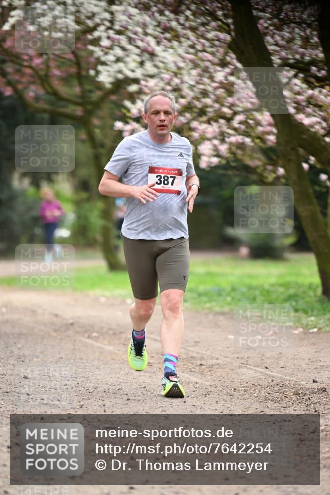 13.04.2025 - Hammer Lauf Dr. Thomas Lammeyer http://msf.ph/oto/7642254 13.04.2025 10:11:23 Laufen 15, 387 meine-sportfotos.de